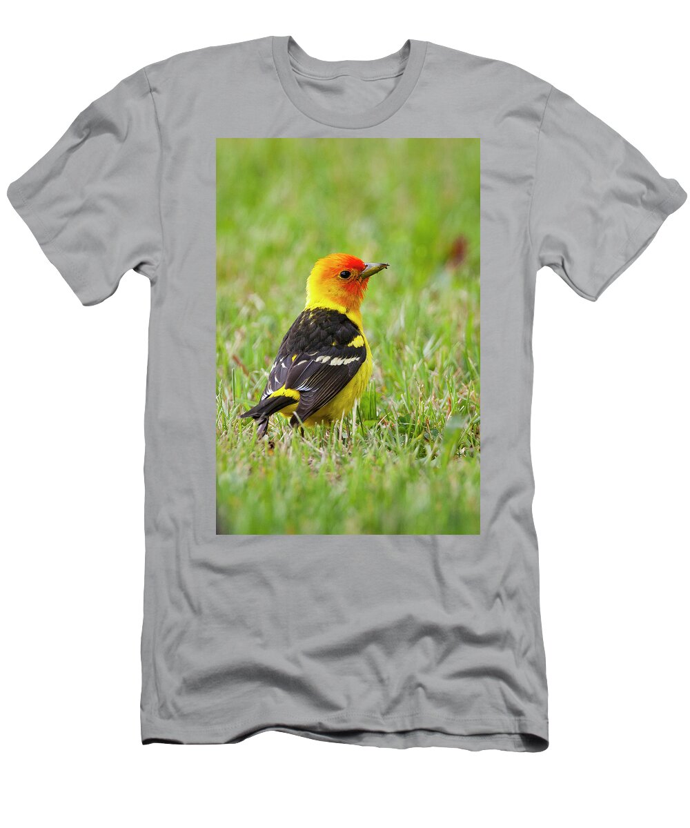Mark Miller Photos T-Shirt featuring the photograph Western Tanager by Mark Miller