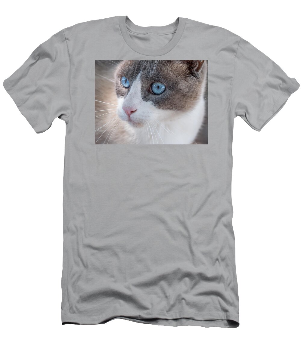 Cat T-Shirt featuring the photograph Whiskers by Derek Dean
