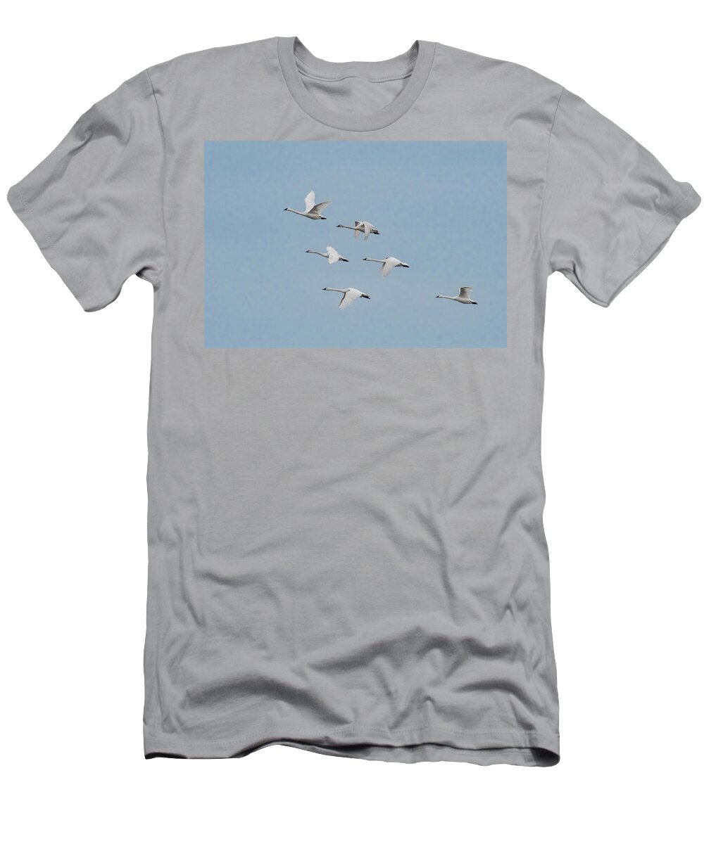 Nature T-Shirt featuring the photograph Whistling Swan in Flight by Donald Brown