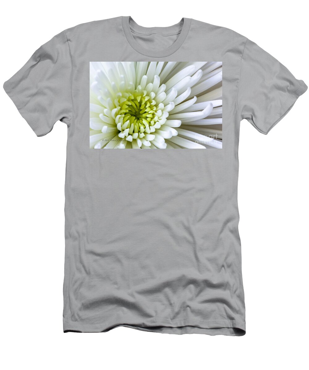 Flower T-Shirt featuring the photograph White Chrysanthemum by Richard J Thompson