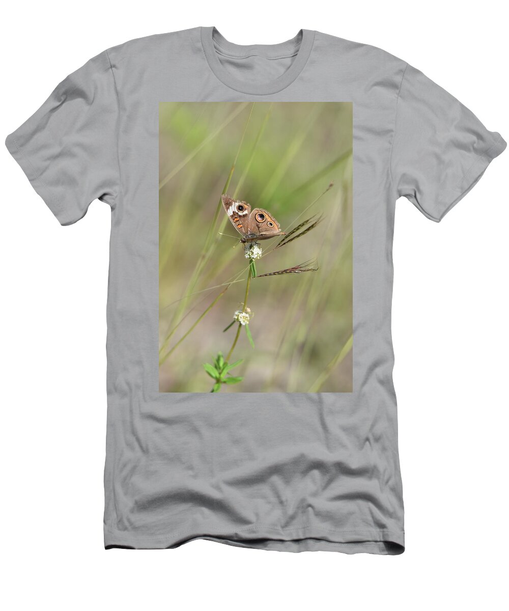 Butterfly T-Shirt featuring the photograph Buckeye Butterfly Resting on White Flowers by Artful Imagery