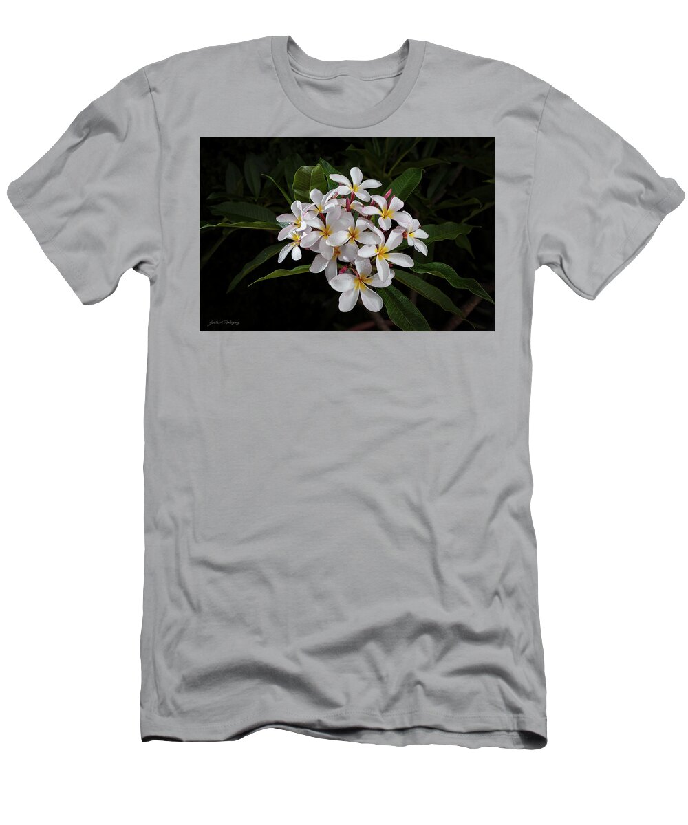 White Petals T-Shirt featuring the photograph White Plumerias in Bloom by John A Rodriguez