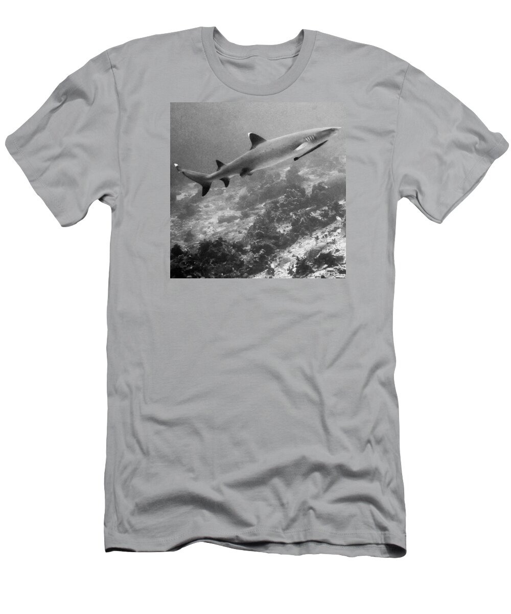 Shark T-Shirt featuring the photograph White tip reef shark by George G Esguerra