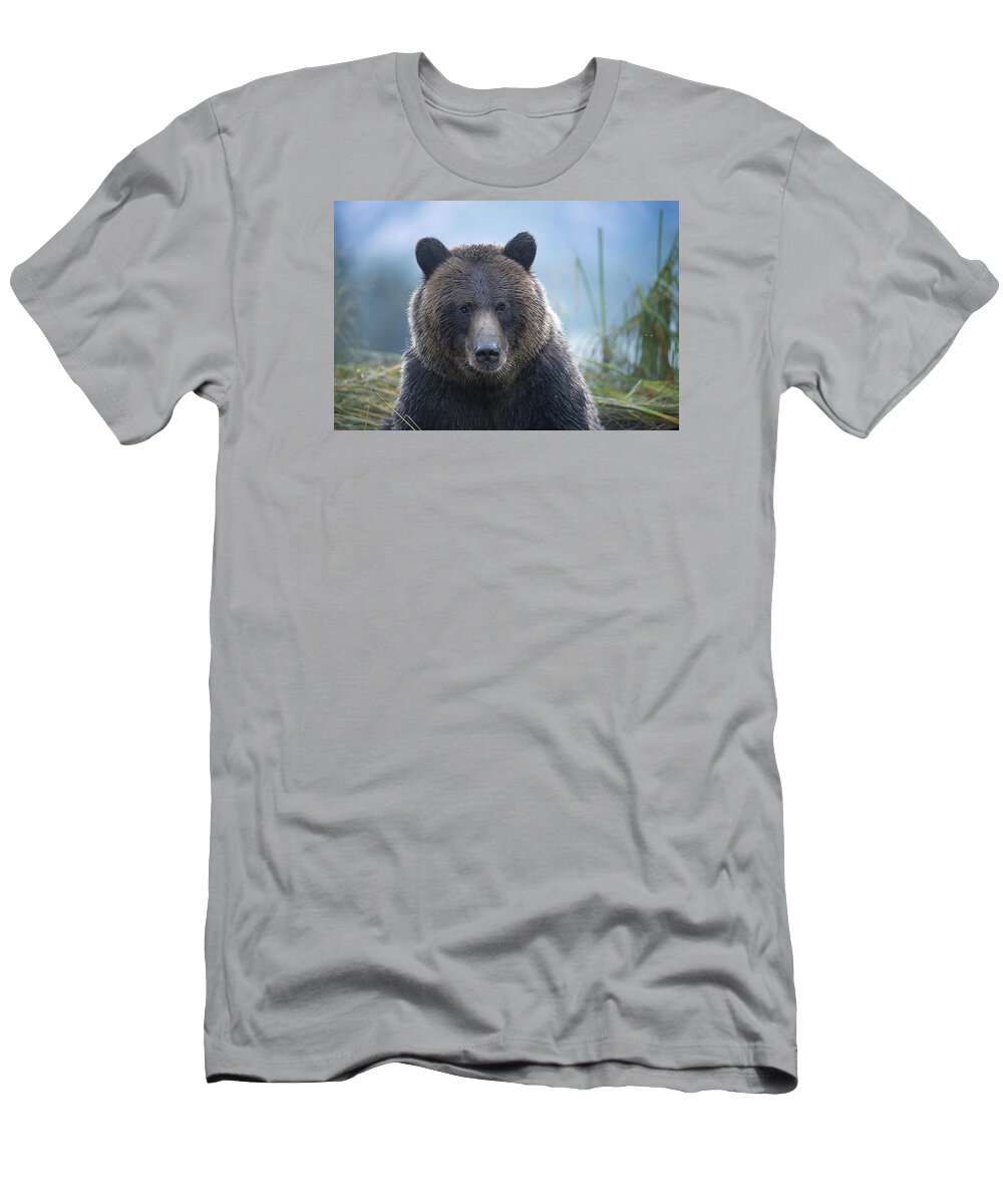 Bear T-Shirt featuring the photograph Who Me by Bill Cubitt