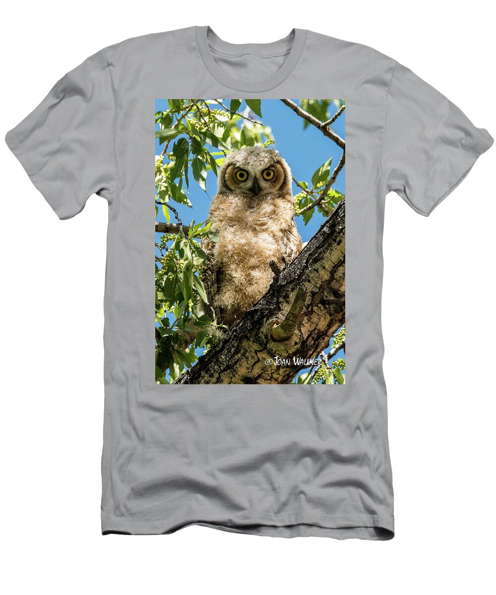 Great Horned Owl T-Shirt featuring the photograph Whooo Are You? by Joan Wallner