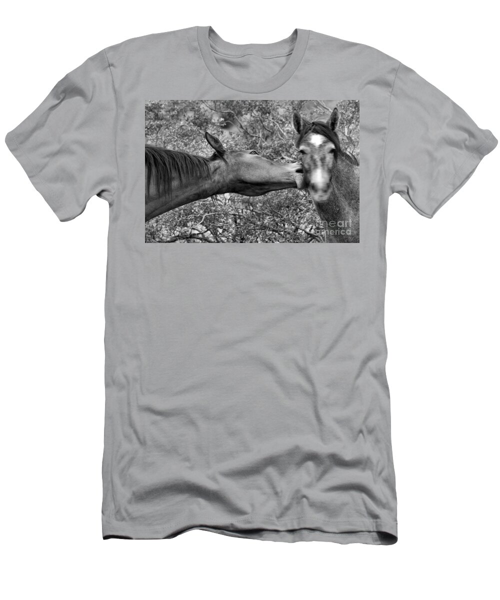 Wild Horse T-Shirt featuring the photograph Wild Love Bites Black And White by Adam Jewell
