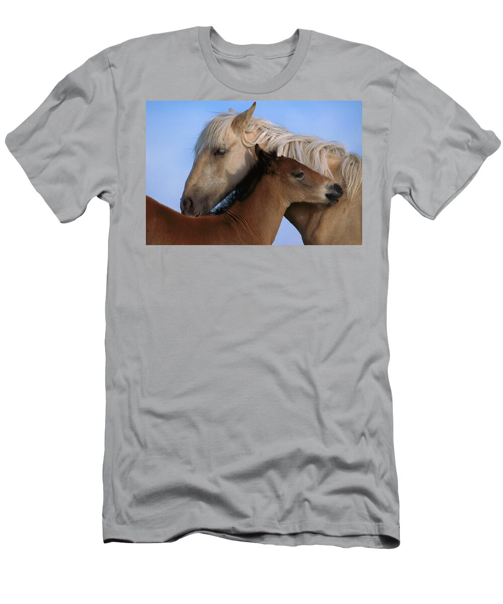00340033 T-Shirt featuring the photograph Wild Mustang Filly and Foal by Yva Momatiuk and John Eastcott
