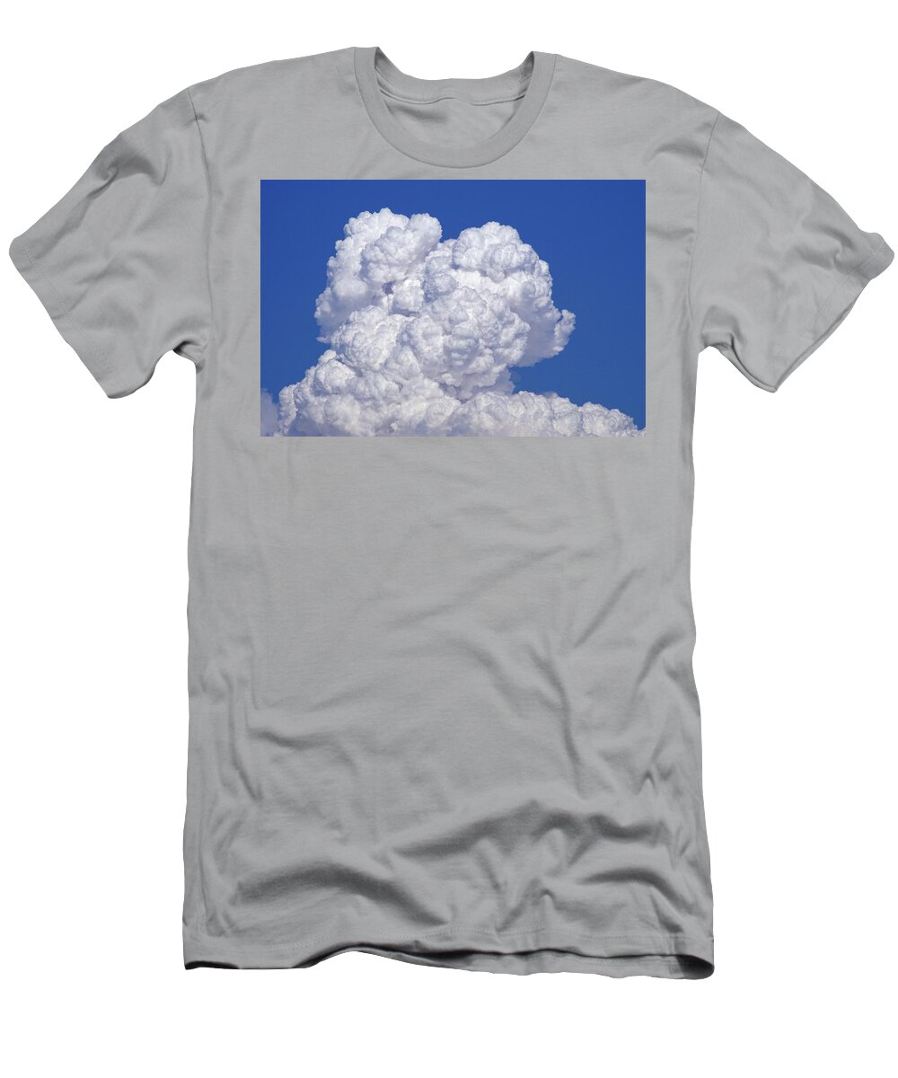 Fire T-Shirt featuring the photograph Wildfire Plume Closeup by Nick Kloepping