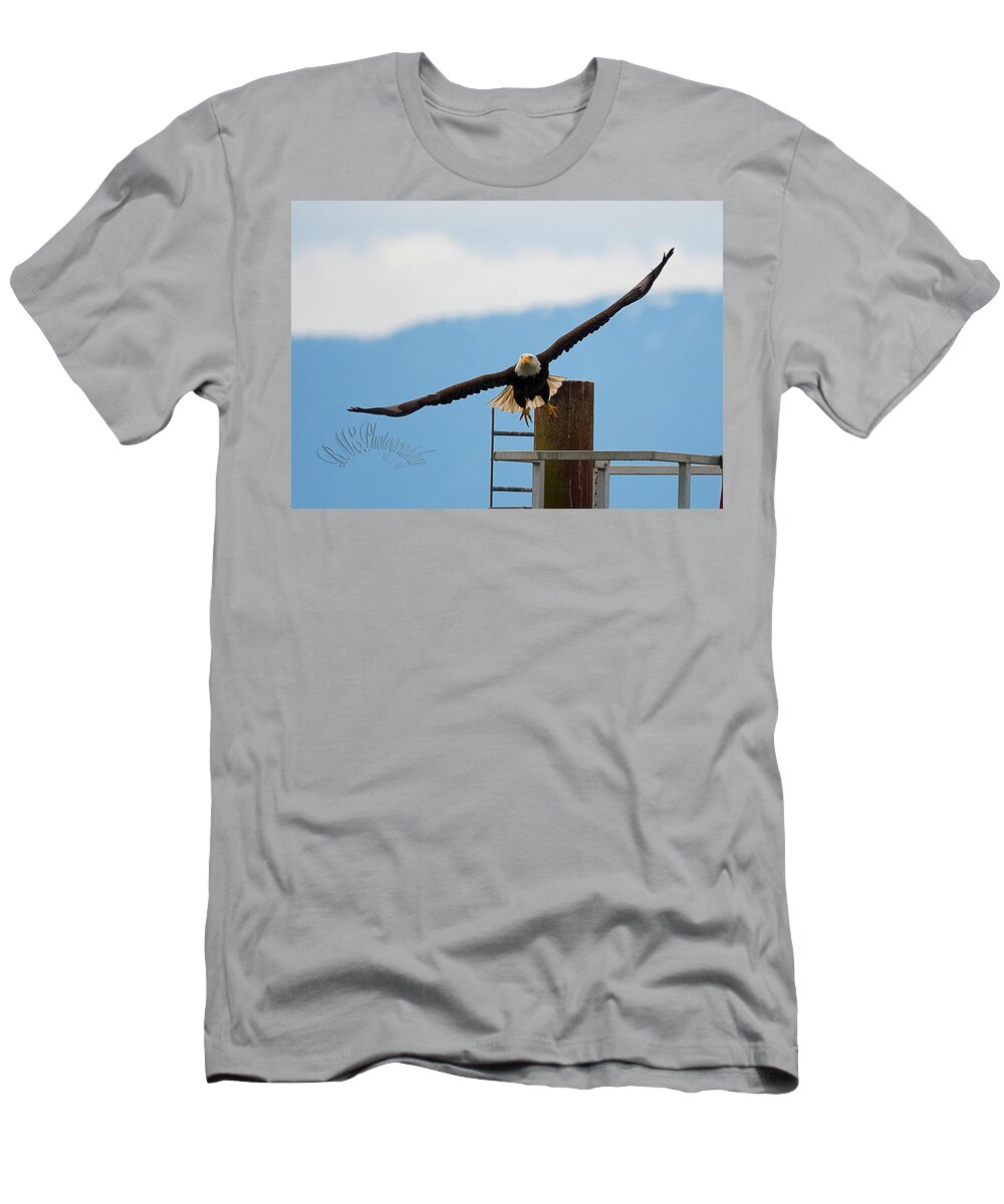 Eagle Comox British Columbia Wildlife Birds Nature Ocean Pacific Canada Bald Eagle T-Shirt featuring the photograph Wing Span by Edward Kovalsky
