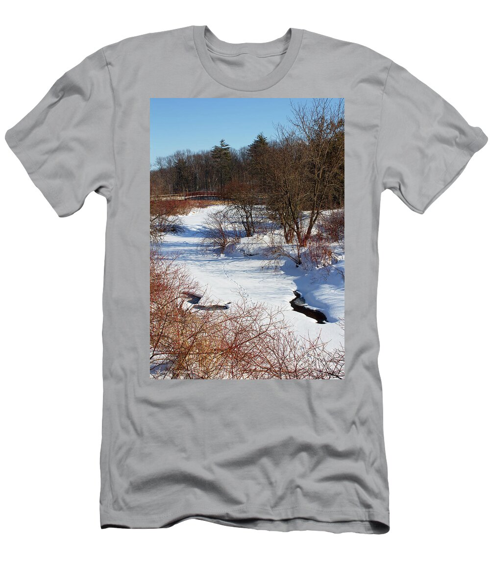Winter T-Shirt featuring the photograph Winter Creek Lined With Red Osea Dogwood by Barbara McMahon