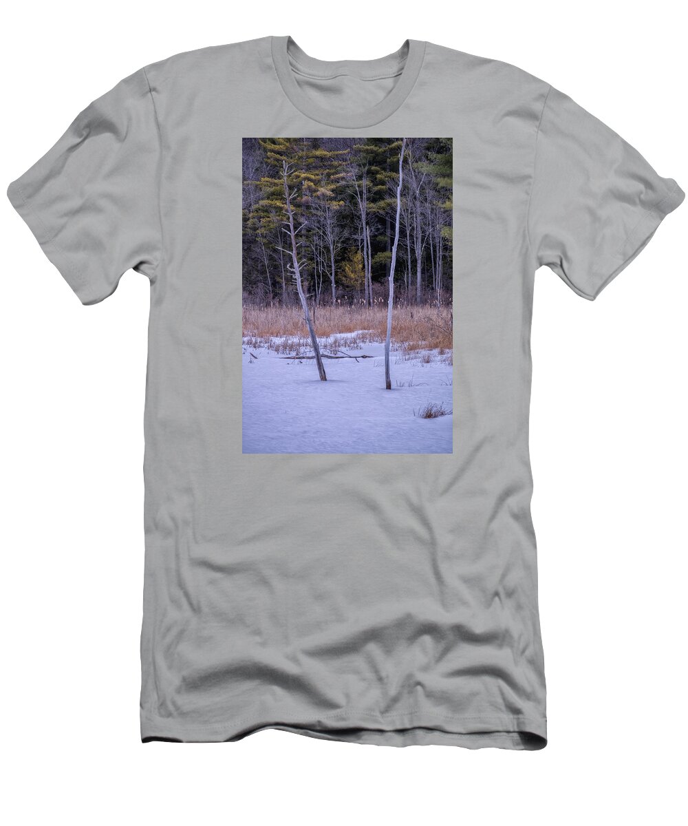 Spofford Lake New Hampshire T-Shirt featuring the photograph Winter Marsh And Trees by Tom Singleton