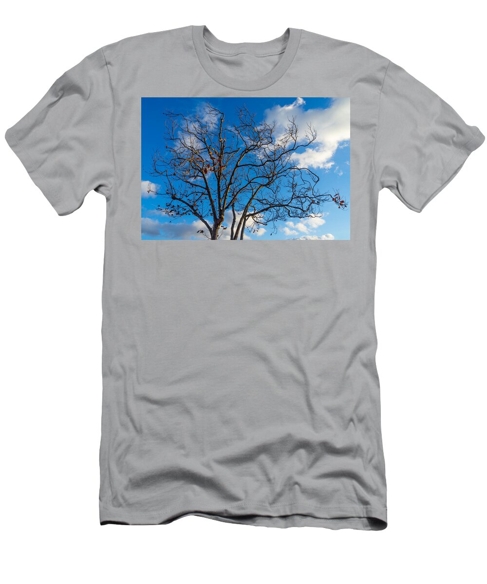Tree T-Shirt featuring the photograph Winter's Tree by Derek Dean