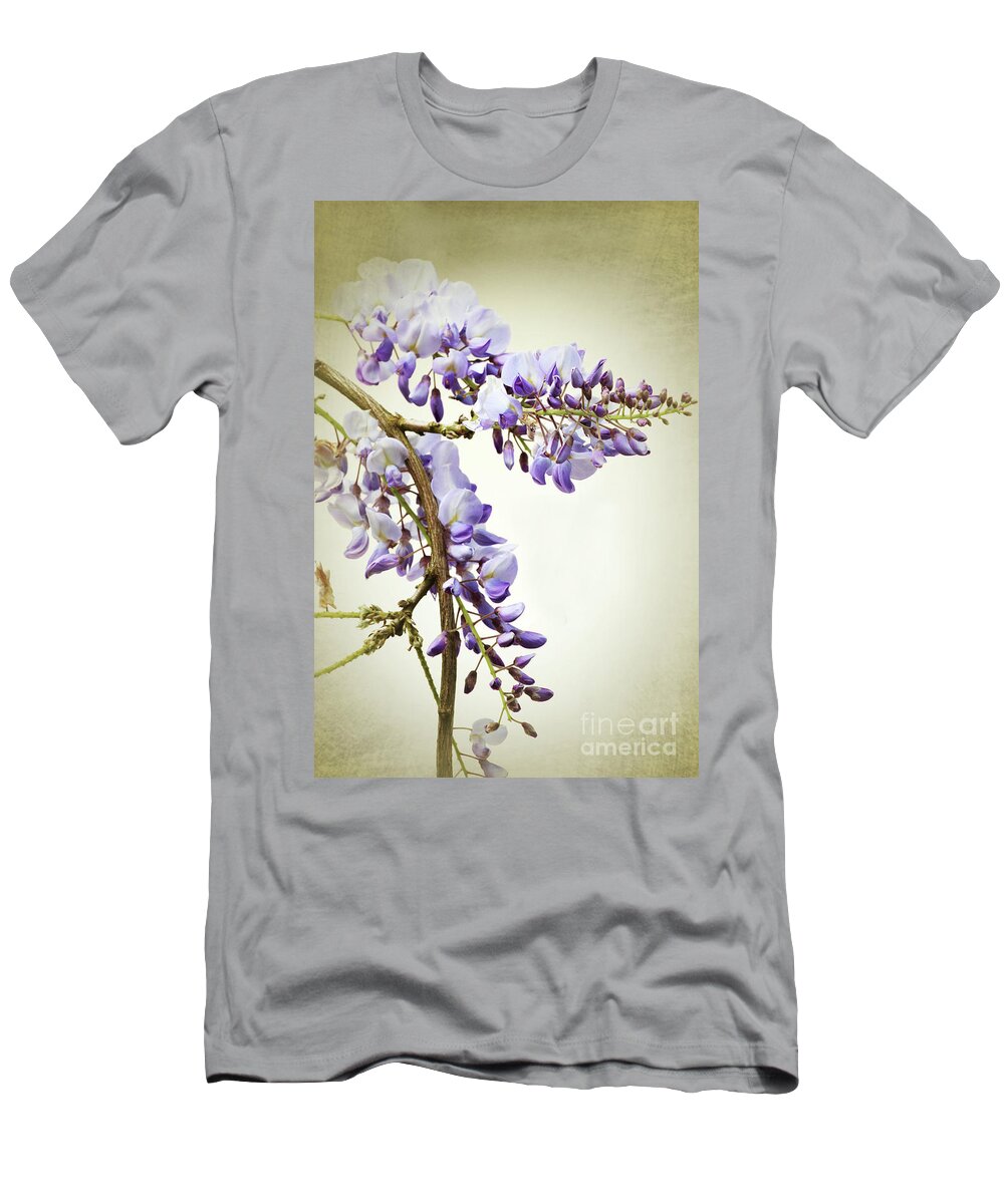 Wisteria T-Shirt featuring the photograph Wisteria textured by Terri Waters
