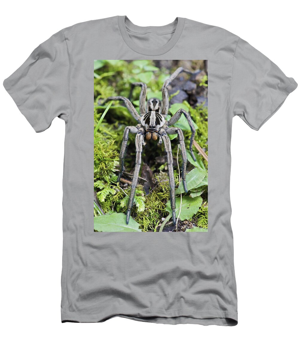 Fn T-Shirt featuring the photograph Wolf Spider Hogna Sp Male, Mindo by James Christensen