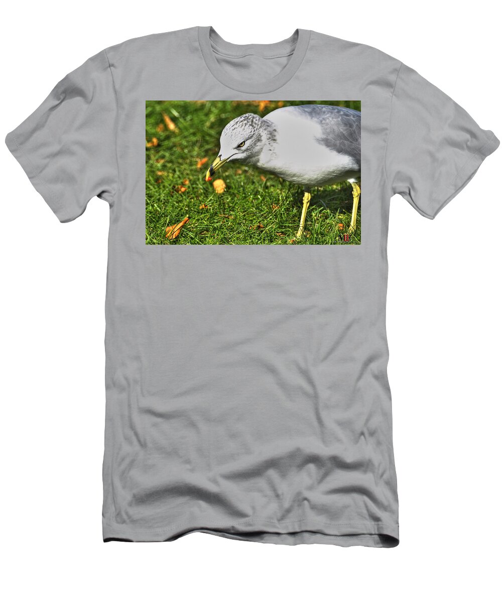 Buffalo T-Shirt featuring the photograph WTF Why That Face by Michael Frank Jr