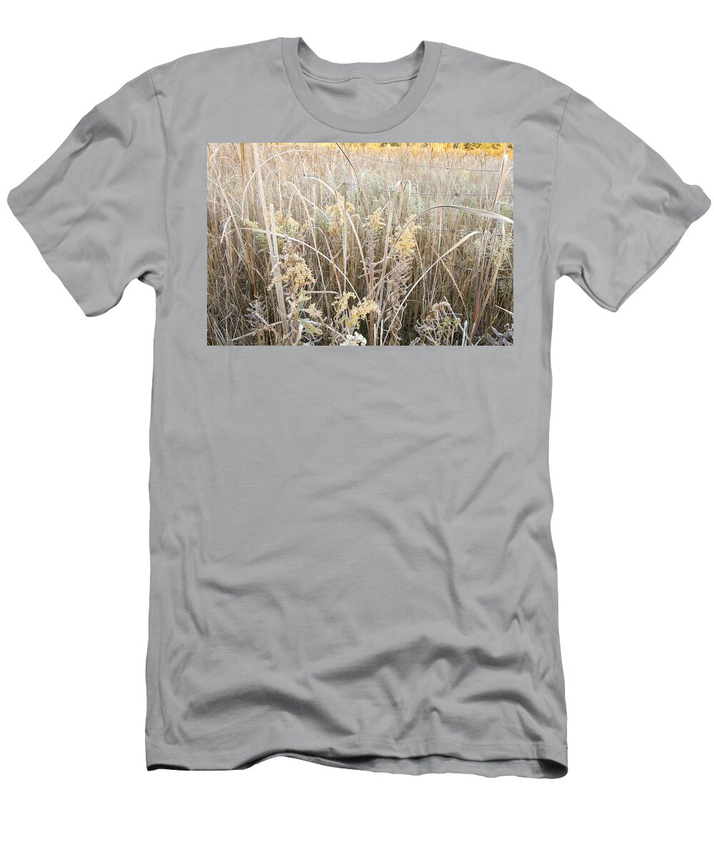 Canada T-Shirt featuring the photograph Yellow  by Doug Gibbons