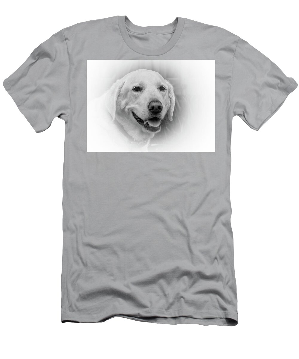 Labrador T-Shirt featuring the photograph Yellow Labrador by Allin Sorenson