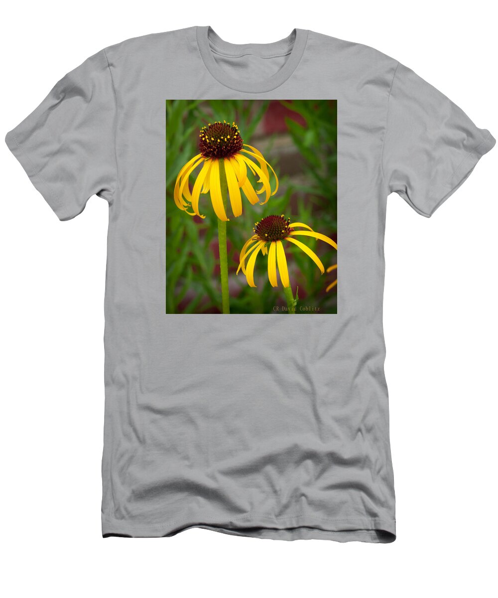 Botanical T-Shirt featuring the photograph Yellow Pair by David Coblitz