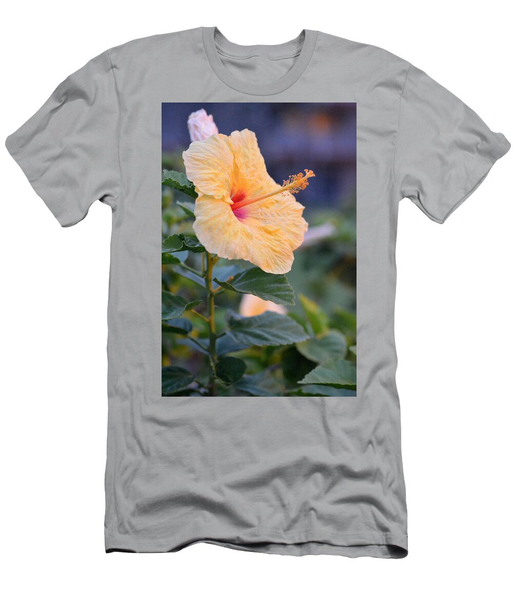 Flower T-Shirt featuring the photograph Yellow Red Hibiscus Profile by Amy Fose