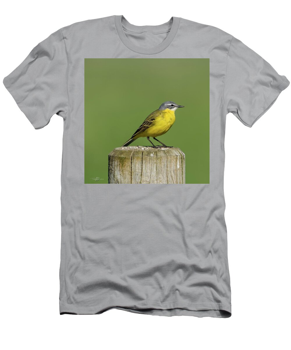 Yellow Wagtail T-Shirt featuring the photograph Yellow Wagtail perching on the roundpole a close-up by Torbjorn Swenelius