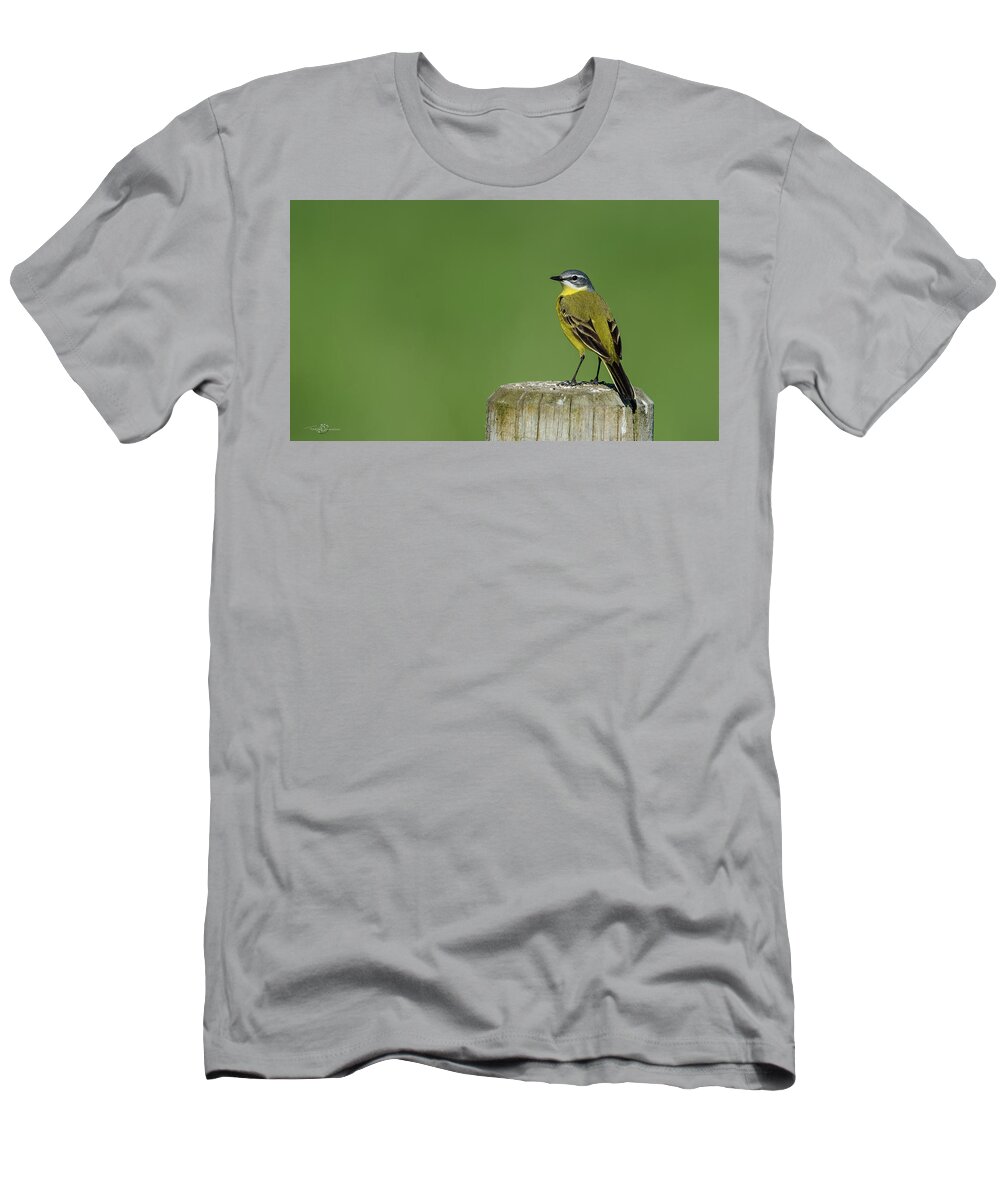 Yellow Wagtail T-Shirt featuring the photograph Yellow Wagtail perching on the roundpole by Torbjorn Swenelius