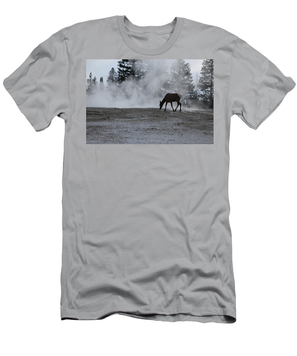 Yellowstone National Park T-Shirt featuring the photograph Yellowstone 5456 by Michael Fryd