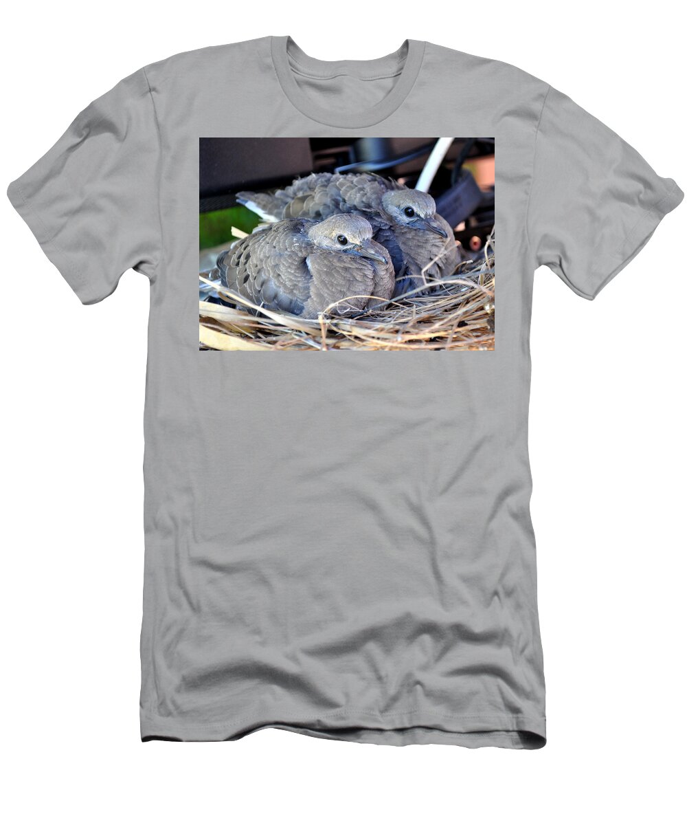 Animals T-Shirt featuring the photograph Young Mourning Dove Squab by Jay Milo