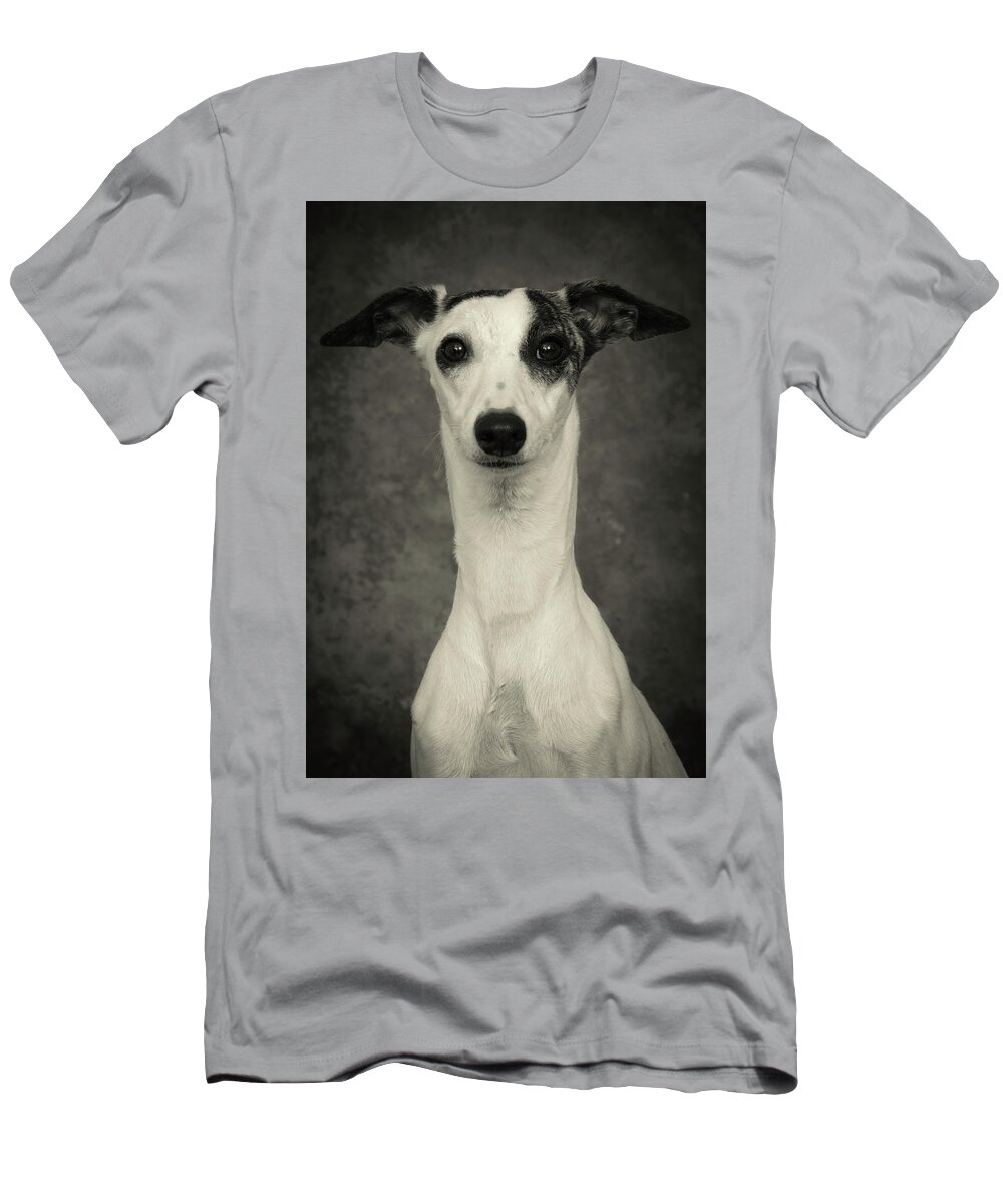 Whippet T-Shirt featuring the photograph Young Whippet In Black and White by Greg and Chrystal Mimbs