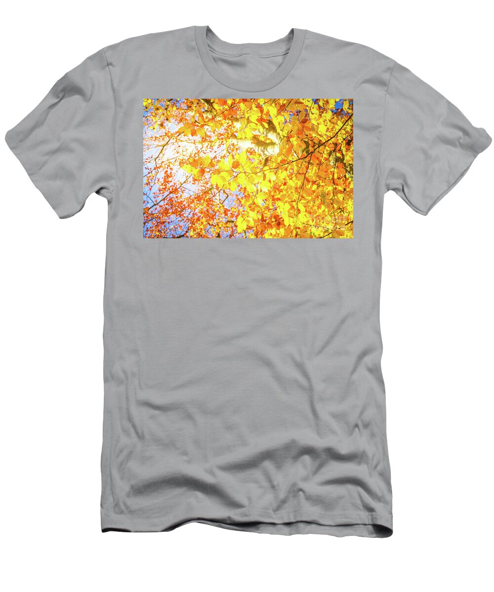 Fall T-Shirt featuring the photograph Colors of Autumn #1 by Anastasy Yarmolovich