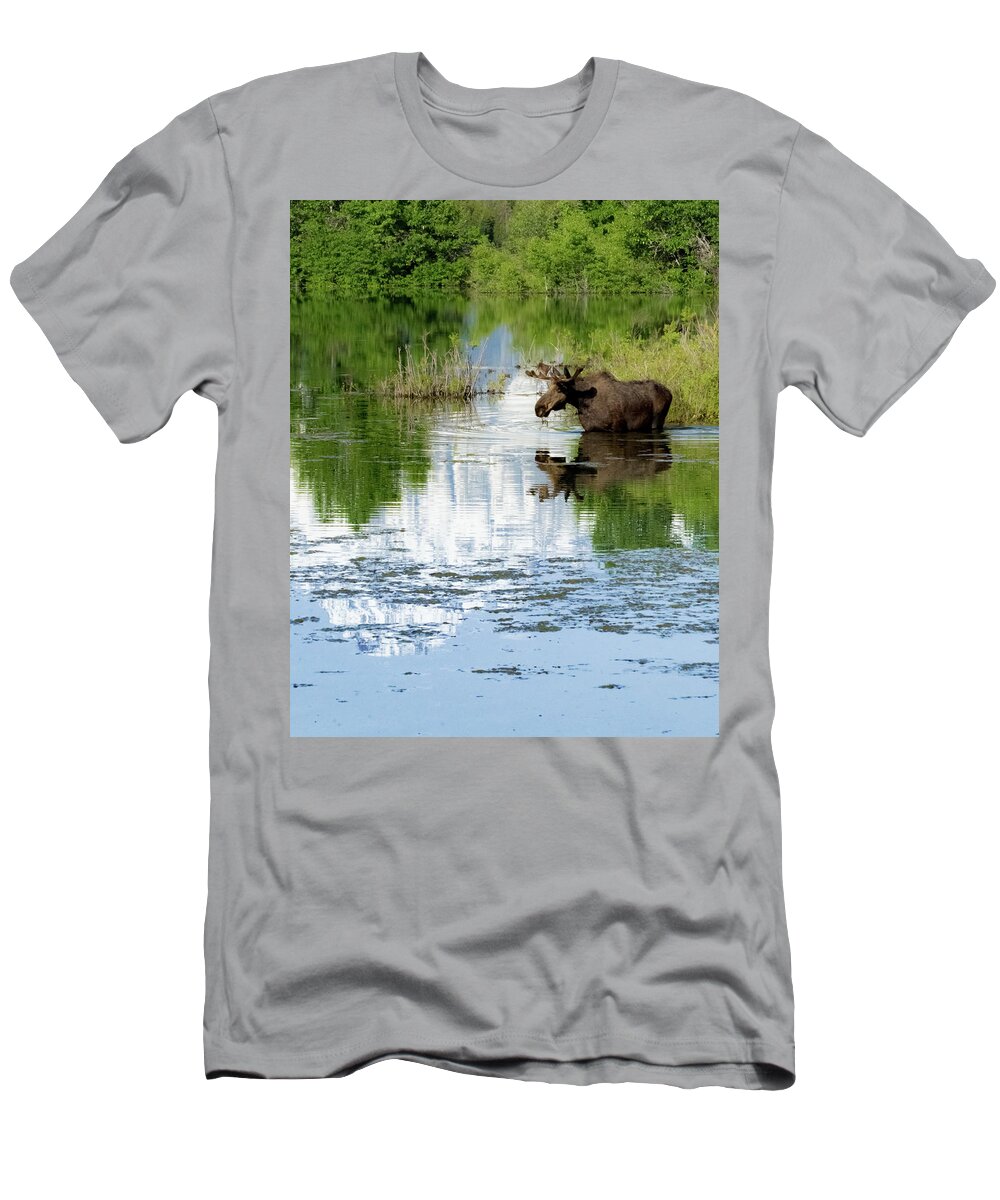 Pilgrim Creek T-Shirt featuring the photograph Pilgrim Creek Moose #1 by Joe Kopp