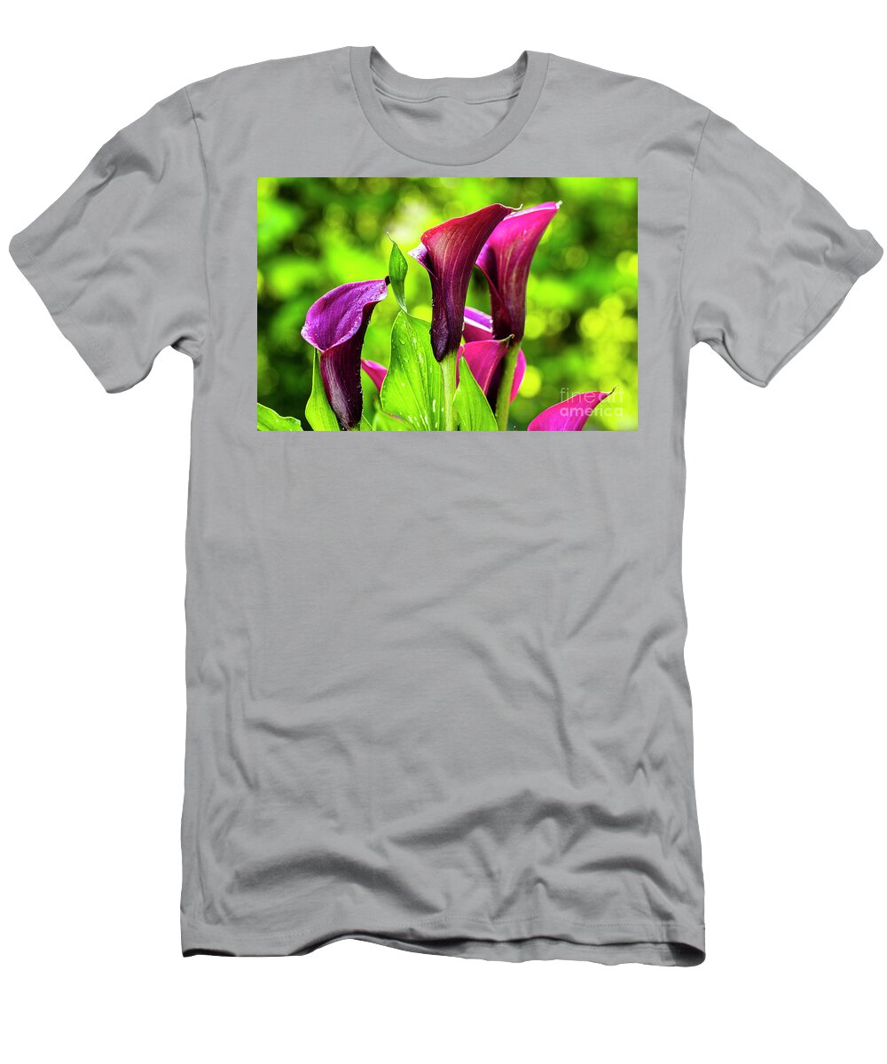 Araceae T-Shirt featuring the photograph Purple Calla Lily Flower by Raul Rodriguez