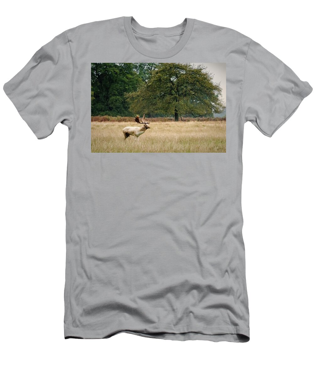Stag T-Shirt featuring the photograph Stag #1 by Chris Boulton
