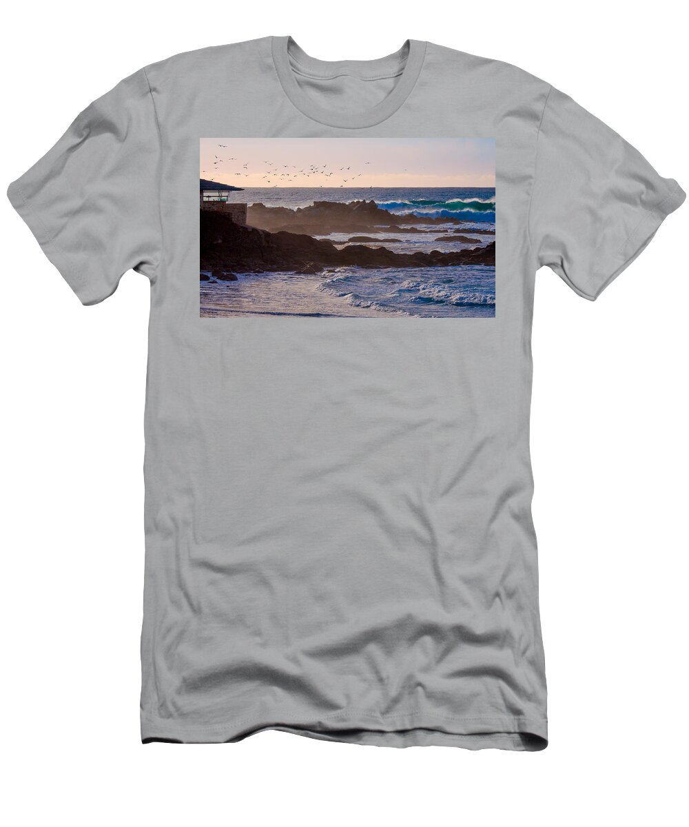 Carmel Point T-Shirt featuring the photograph The Birds #1 by Derek Dean