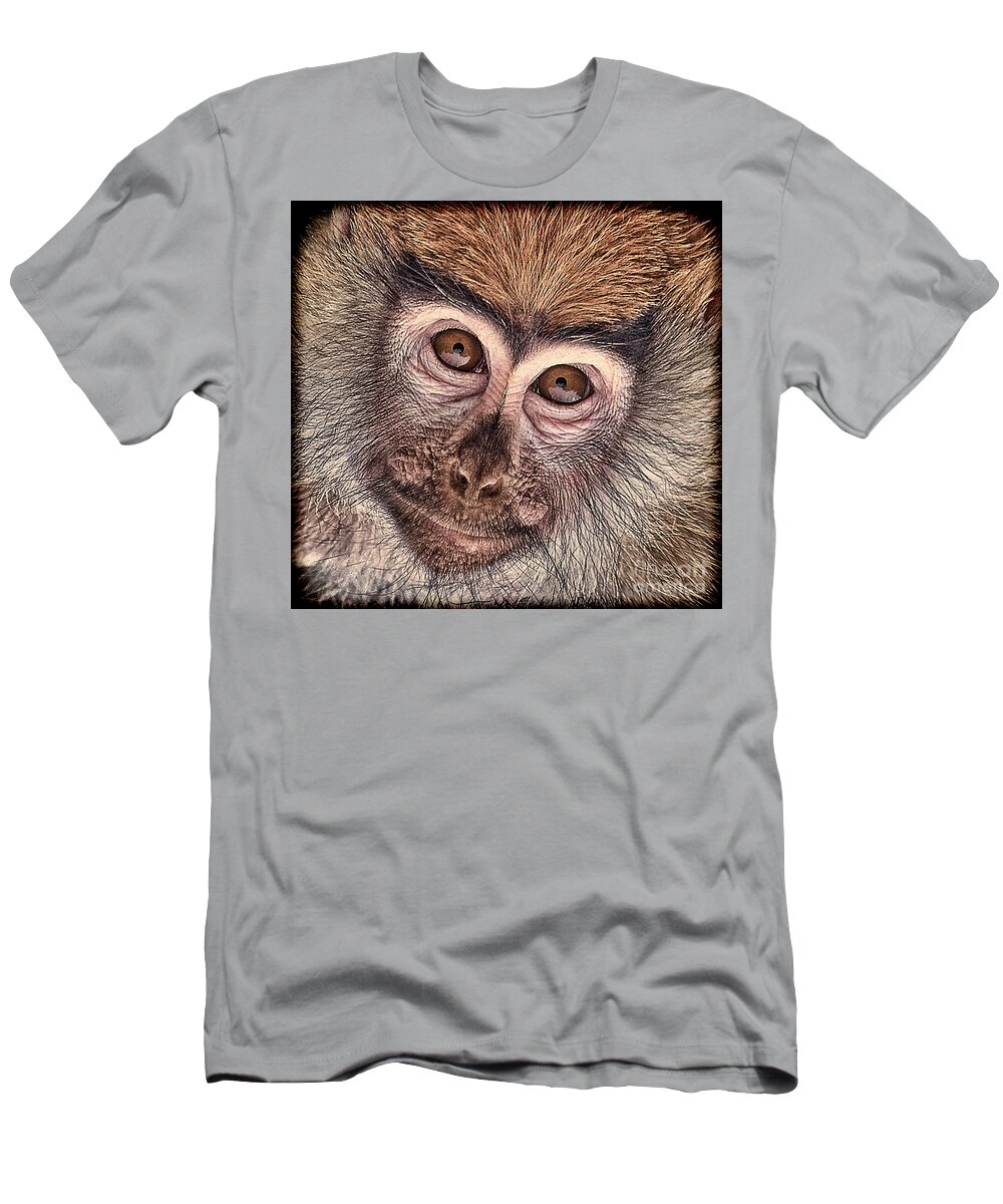 Patas Monkey T-Shirt featuring the photograph Portrait of a Baby Patas Monkey #1 by Jim Fitzpatrick
