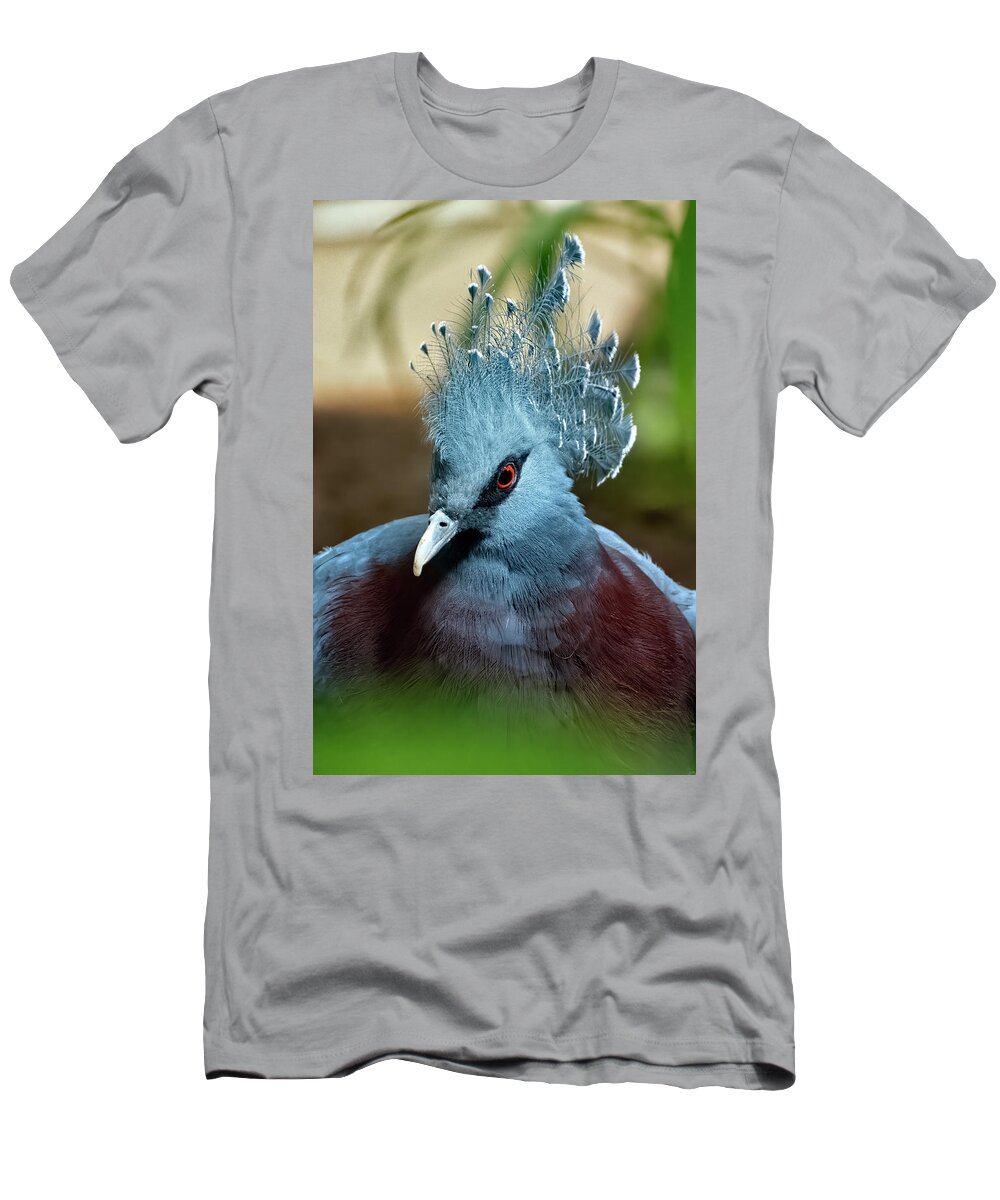 Animal T-Shirt featuring the photograph Victoria Crowned Pigeon #2 by Kuni Photography