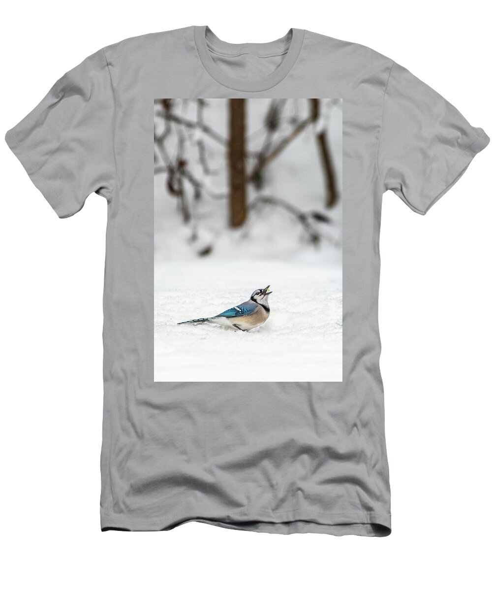 2019 T-Shirt featuring the photograph 2019 First Snow Fall by Cindy Lark Hartman