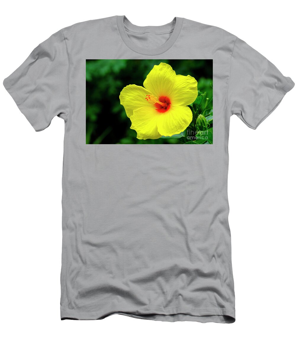 Beautiful T-Shirt featuring the photograph Beautiful Hibiscus #4 by Raul Rodriguez