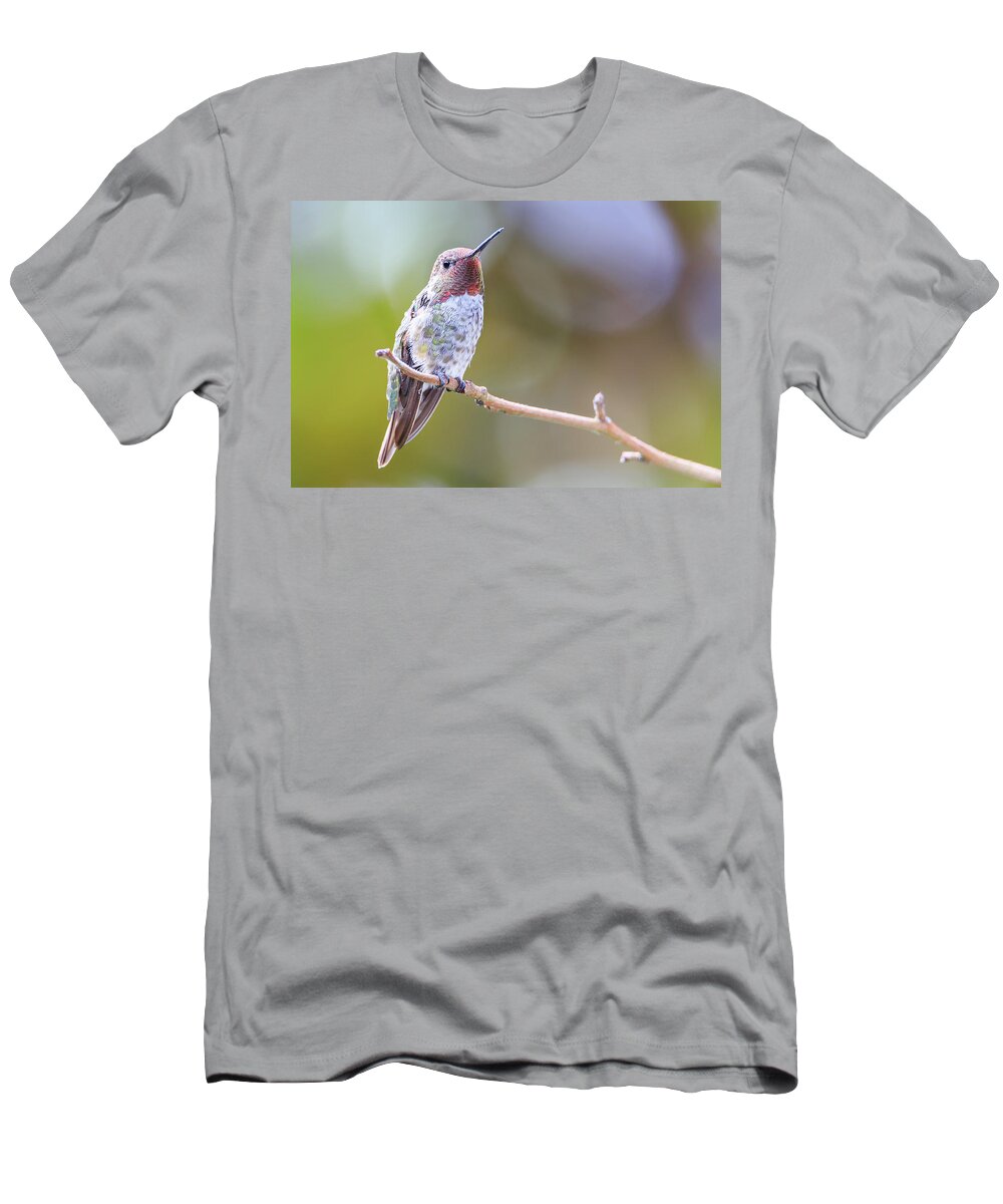 Animal T-Shirt featuring the photograph Male Anna's Hummingbird by Briand Sanderson
