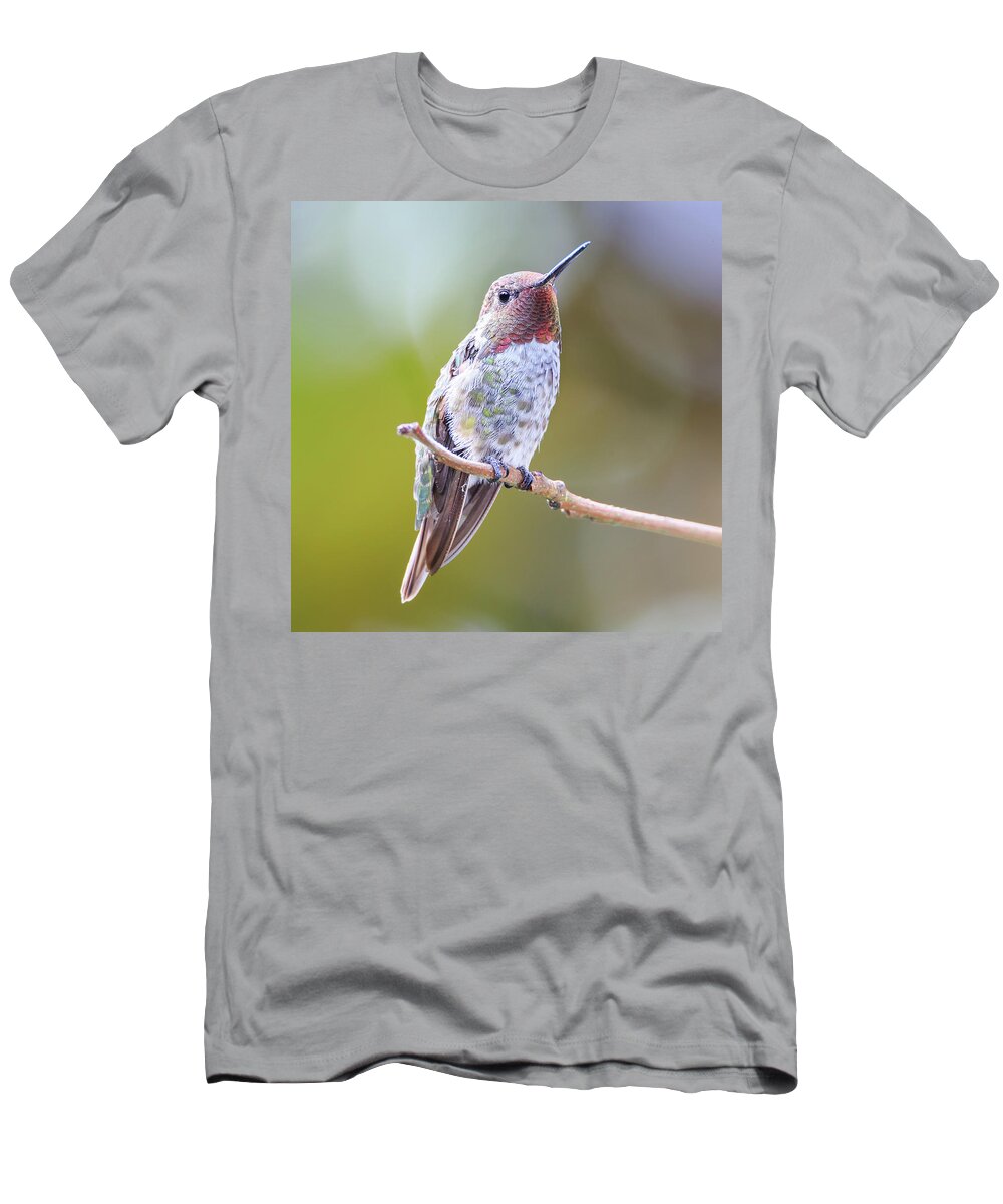 Animal T-Shirt featuring the photograph Male Anna's Hummingbird by Briand Sanderson