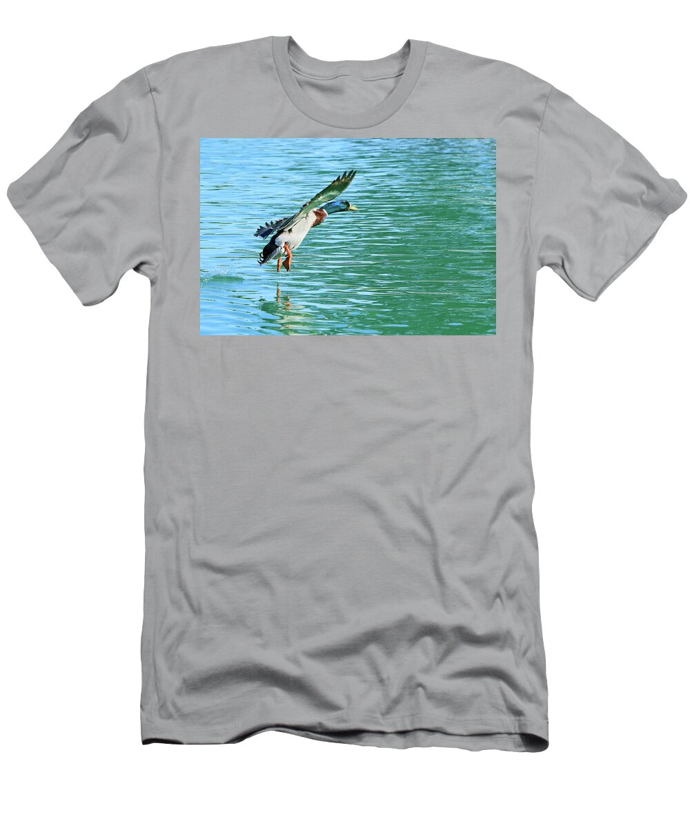 Duck T-Shirt featuring the photograph Almost Down by Shoal Hollingsworth