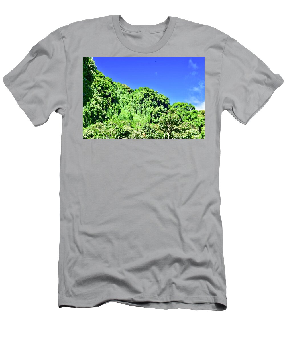 Aloha T-Shirt featuring the photograph Waikamoi Ridge Bamboo Rain Forest, Hana by Bnte Creations