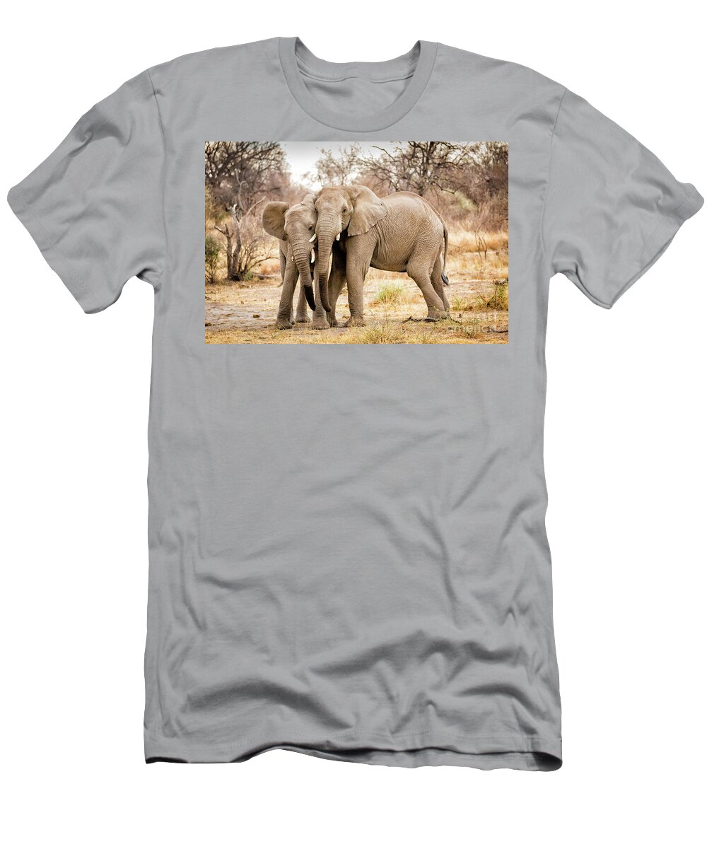  S Africa T-Shirt featuring the photograph Arguing Elephants by Timothy Hacker