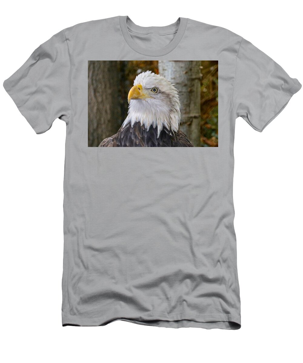 Eagle T-Shirt featuring the photograph Bald Eagle Portrait by Susan Rydberg