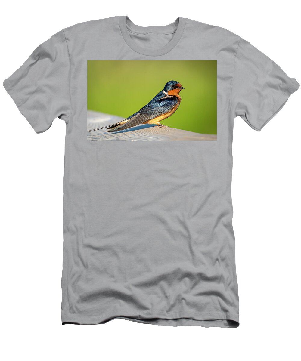 2019-06-30 T-Shirt featuring the photograph Barn Swallow by Phil And Karen Rispin