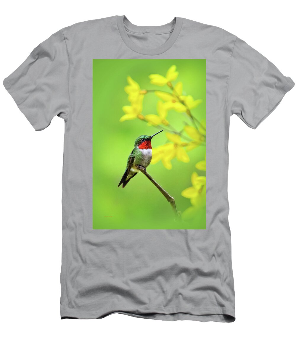 Hummingbird T-Shirt featuring the photograph Beautiful Summer Hummer by Christina Rollo