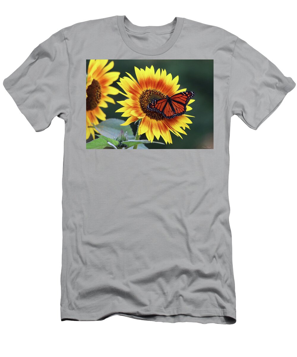 Flowers T-Shirt featuring the photograph Beautiful Sunflower with Monarch Butterfly by Trina Ansel