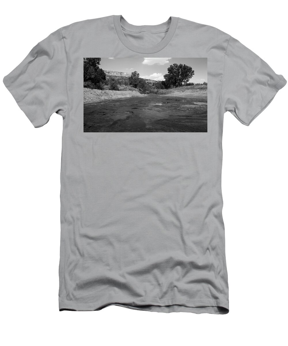Richard E. Porter T-Shirt featuring the photograph Prairie Dog Town Fork of the Red River - Palo Duro Canyon State Park, Texas by Richard Porter