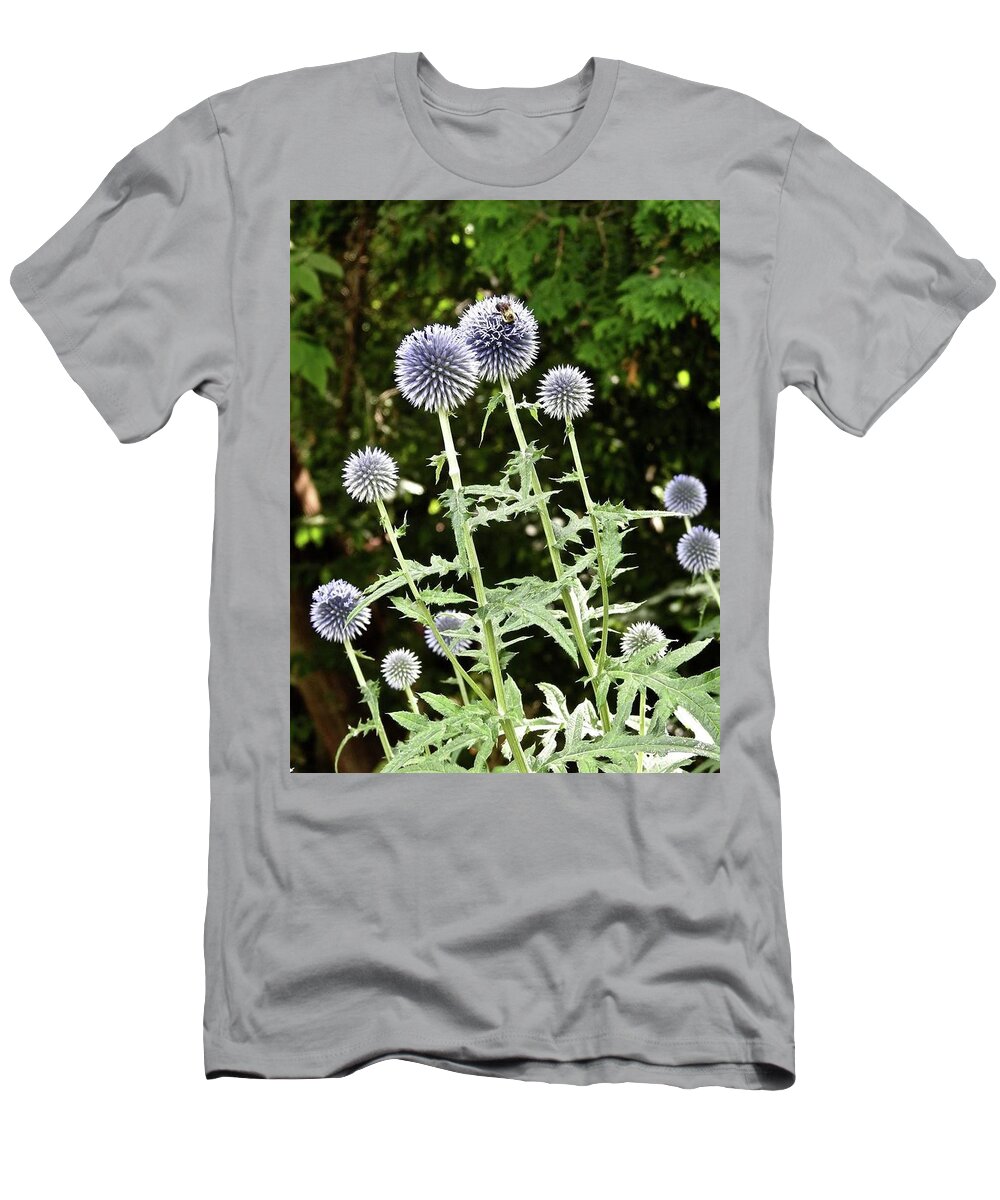 Bee T-Shirt featuring the photograph BEE-you-ti-full Beauty by Kathy Chism