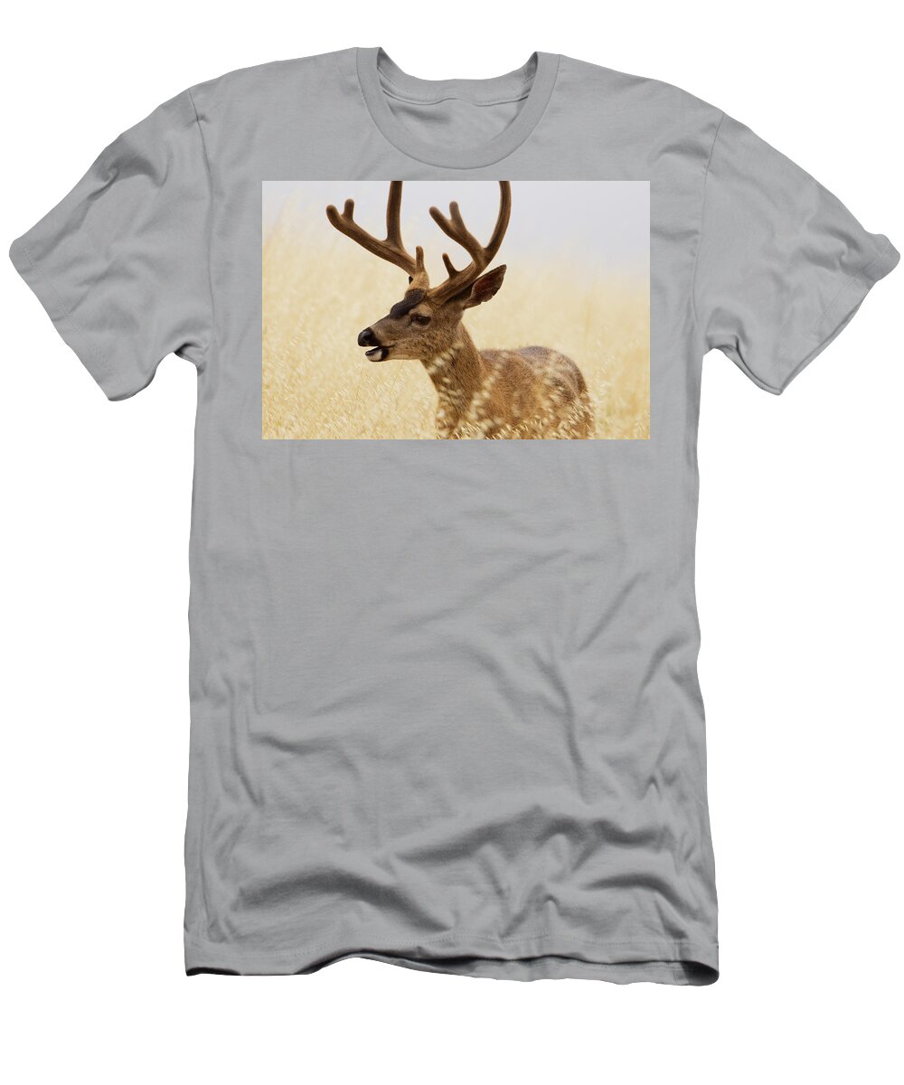 Sebastian Kennerknecht T-Shirt featuring the photograph Black Tailed Deer In Tall Grass, Santa Cruz by Sebastian Kennerknecht