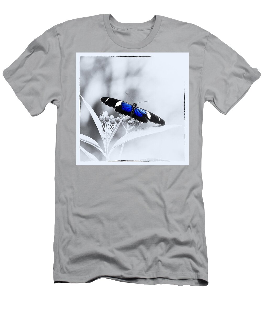 Butterfly T-Shirt featuring the photograph Blue Postman Butterfly by Jaroslav Buna